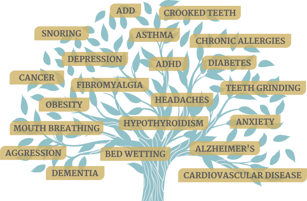 Breathing And Sleep Integrative Dental Arts Breathing And Sleep Integrative Dental Arts